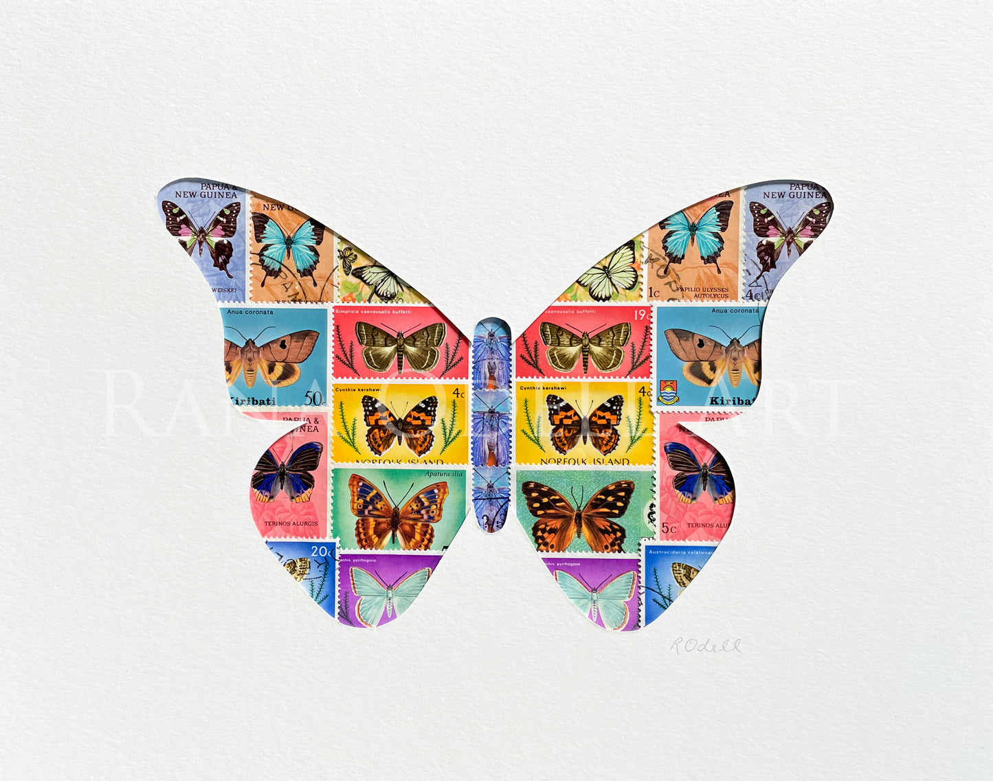 Butterfly, 8x10 inches