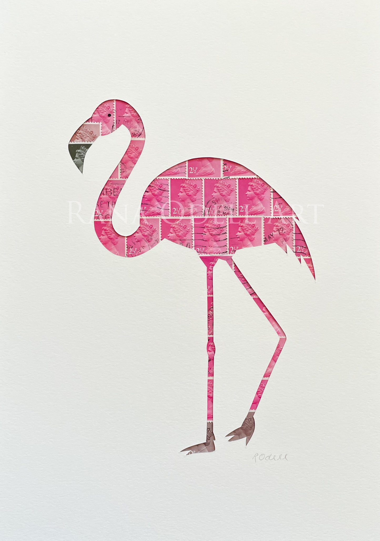 Flamingo, A4