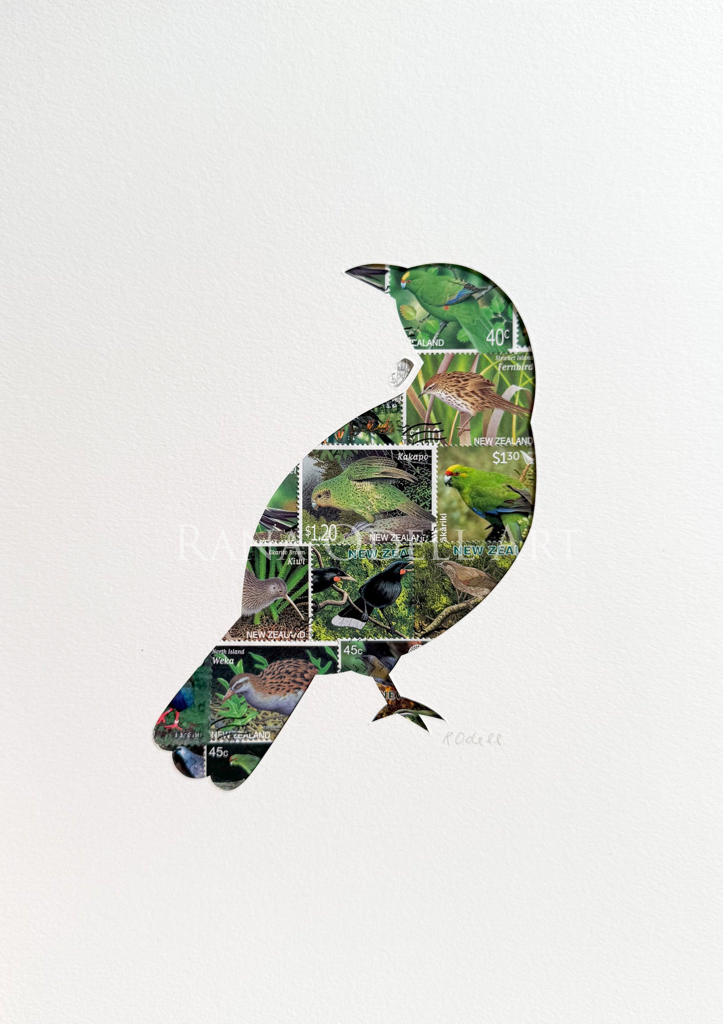 Tui - native bird stamps, A4
