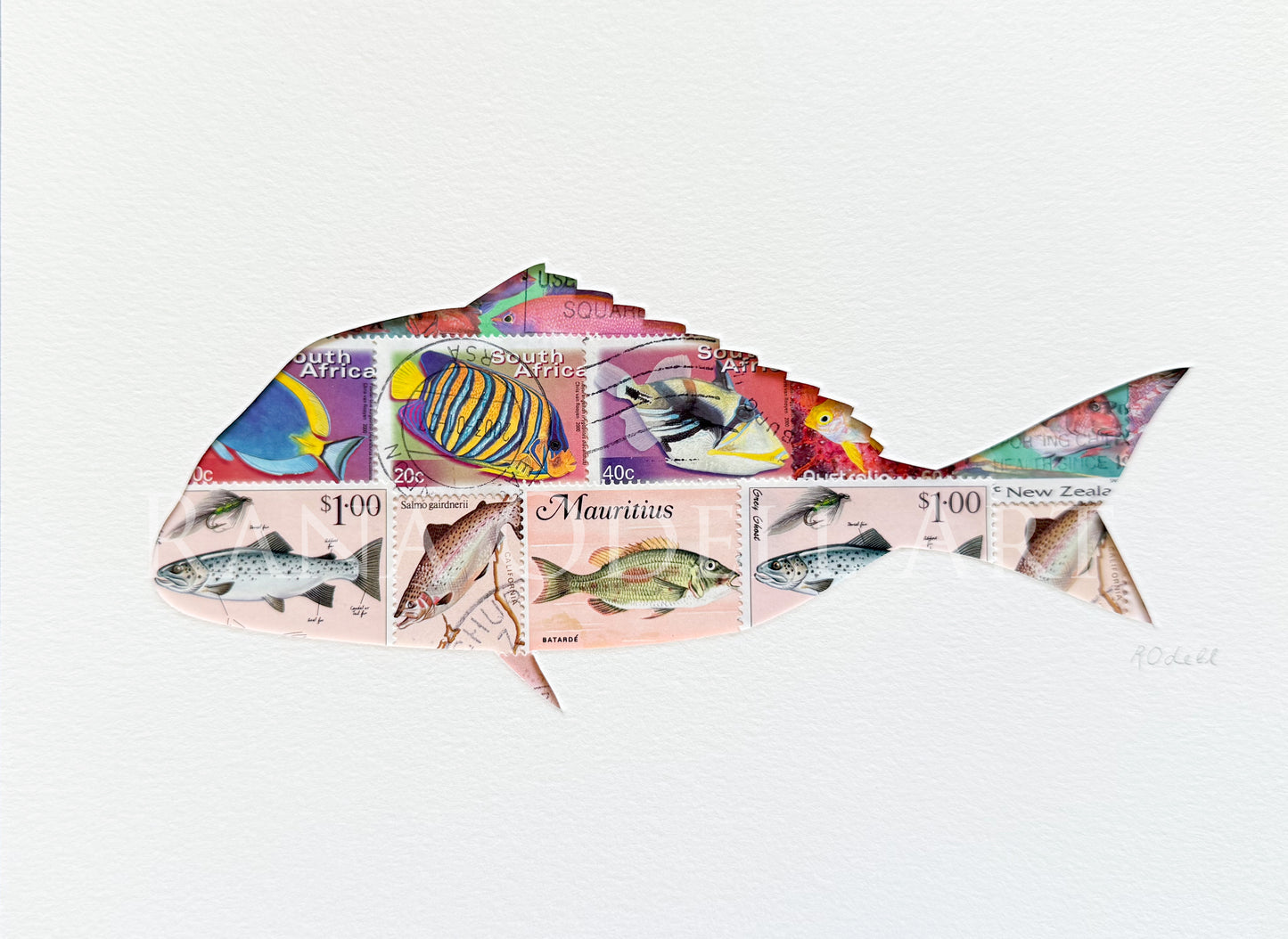 Snapper, 6x8 inches