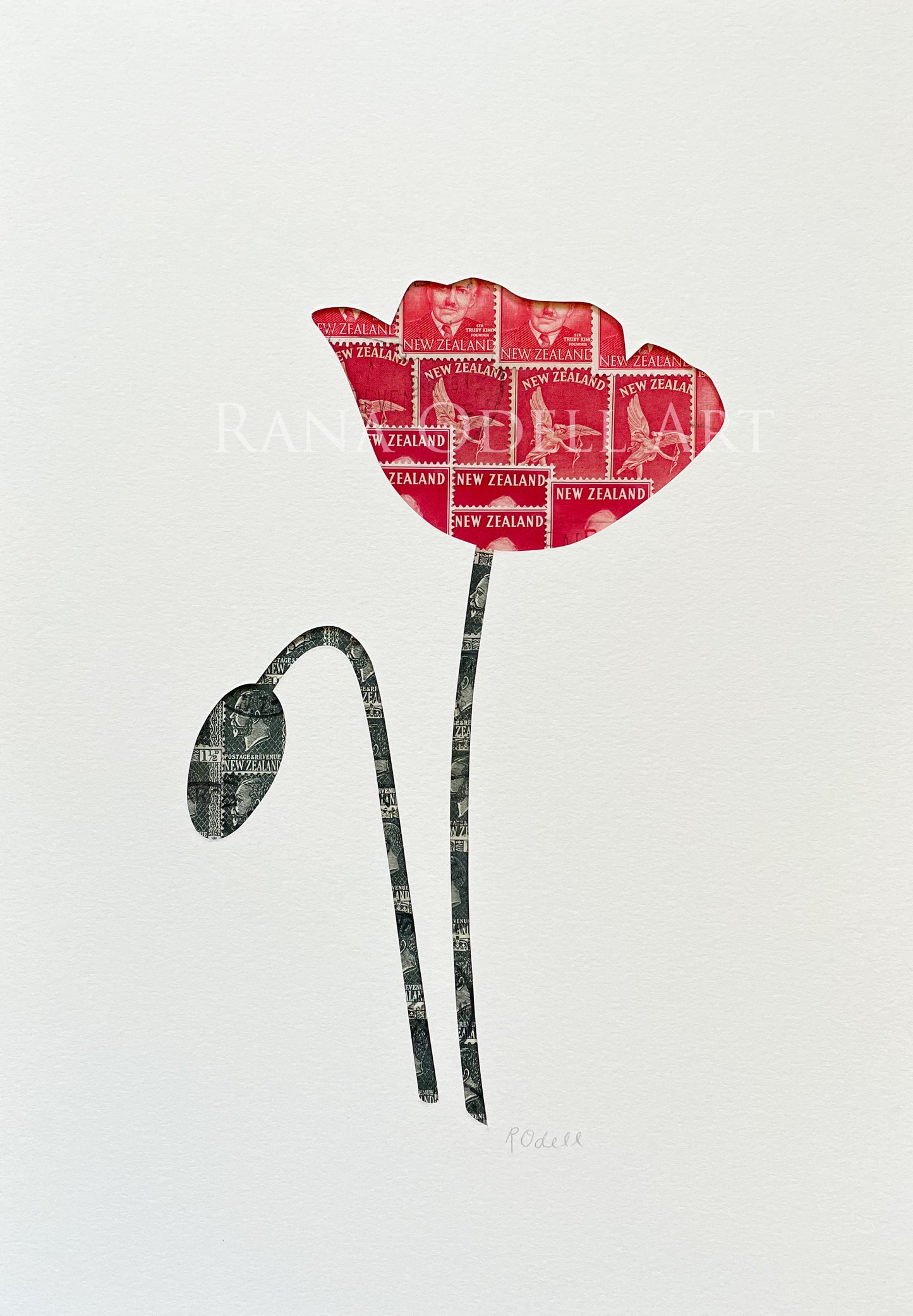 Poppies, A4