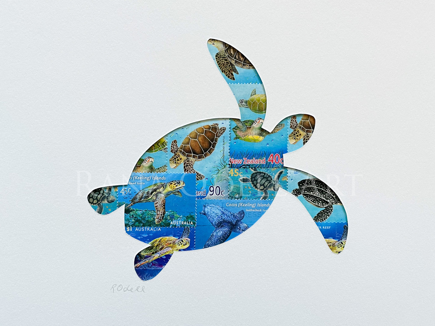 Swimming Turtle, 6x8 inches
