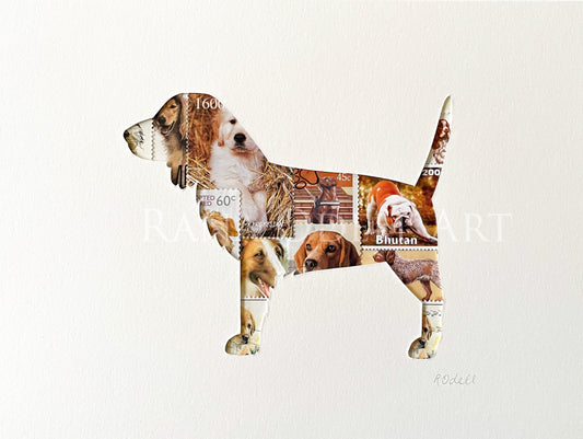 Springer Spaniel, 6x8 inches
