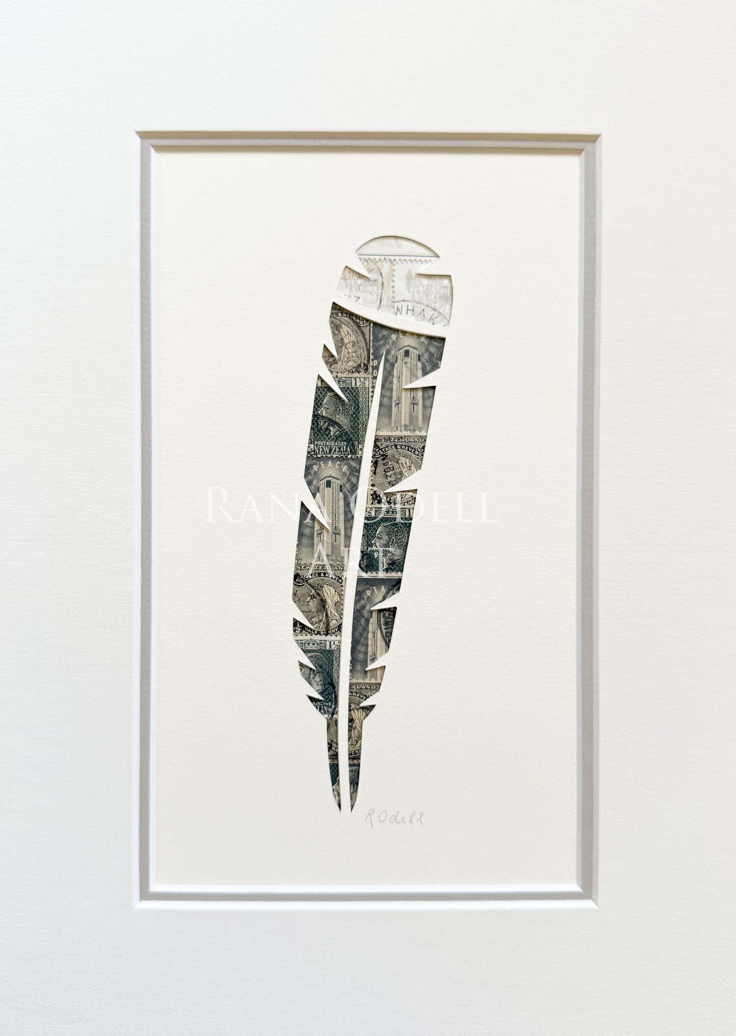 Huia Feather, A4