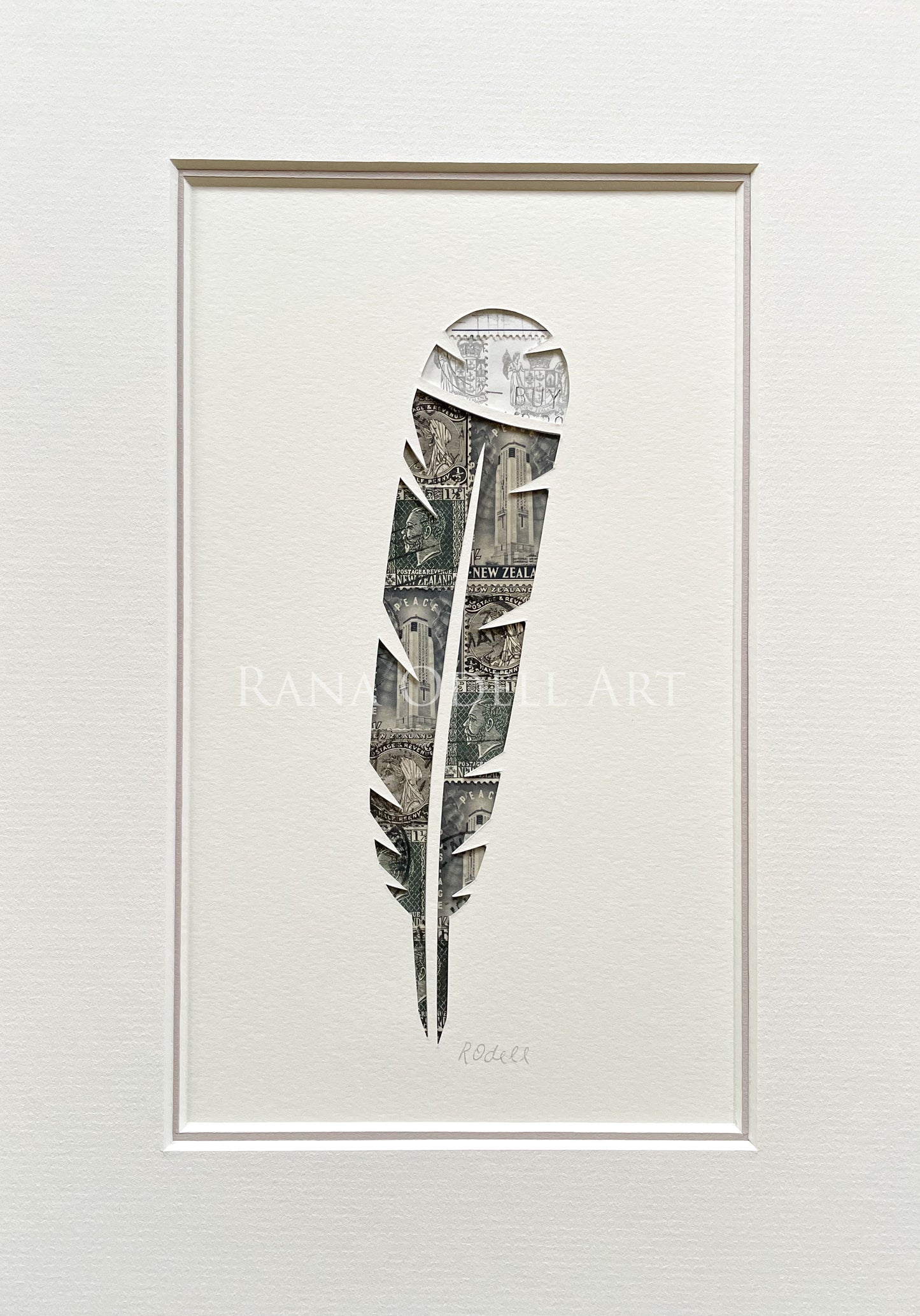 Huia Feather, A4