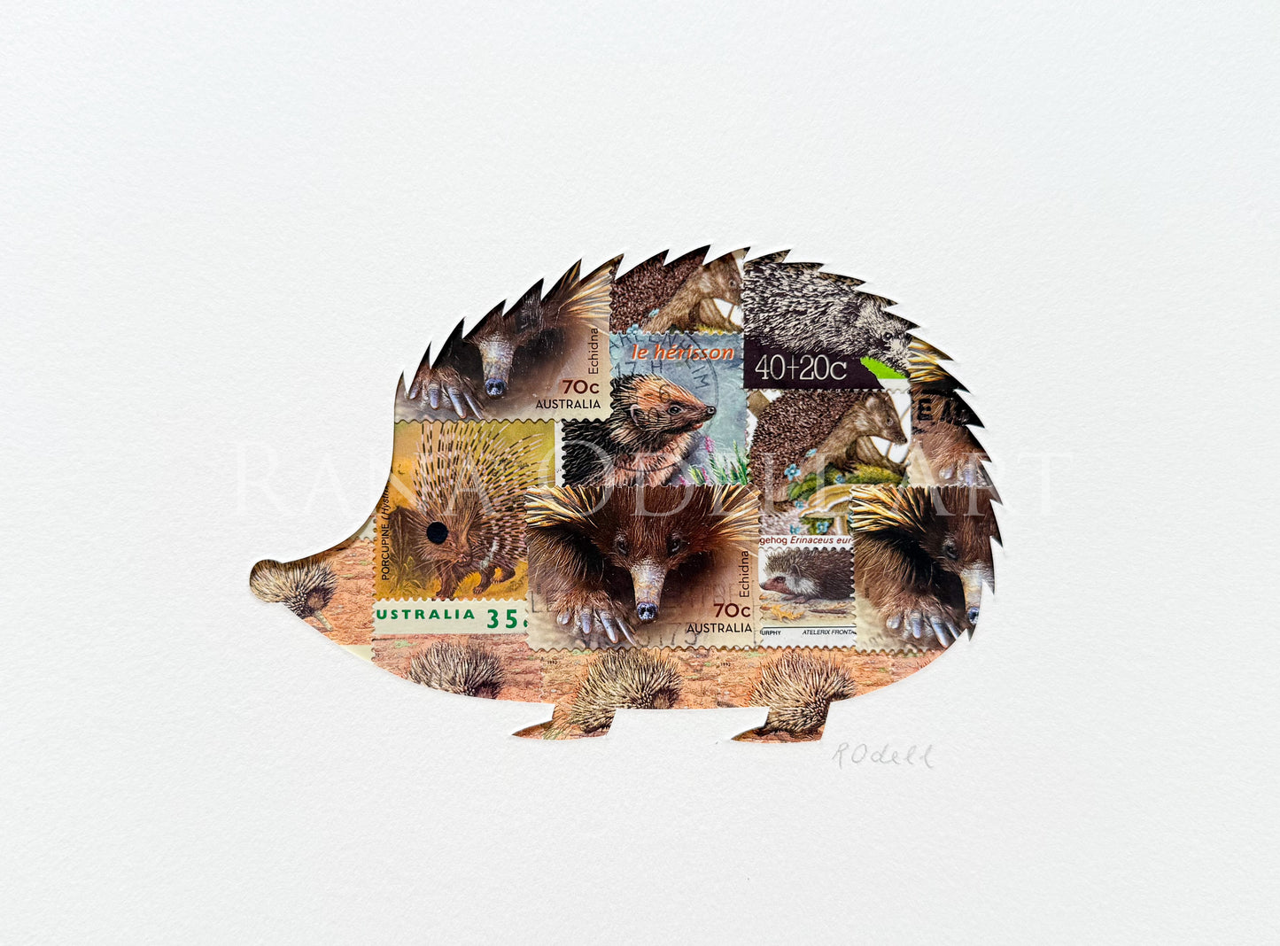 Hedgehog, 6x8 inches