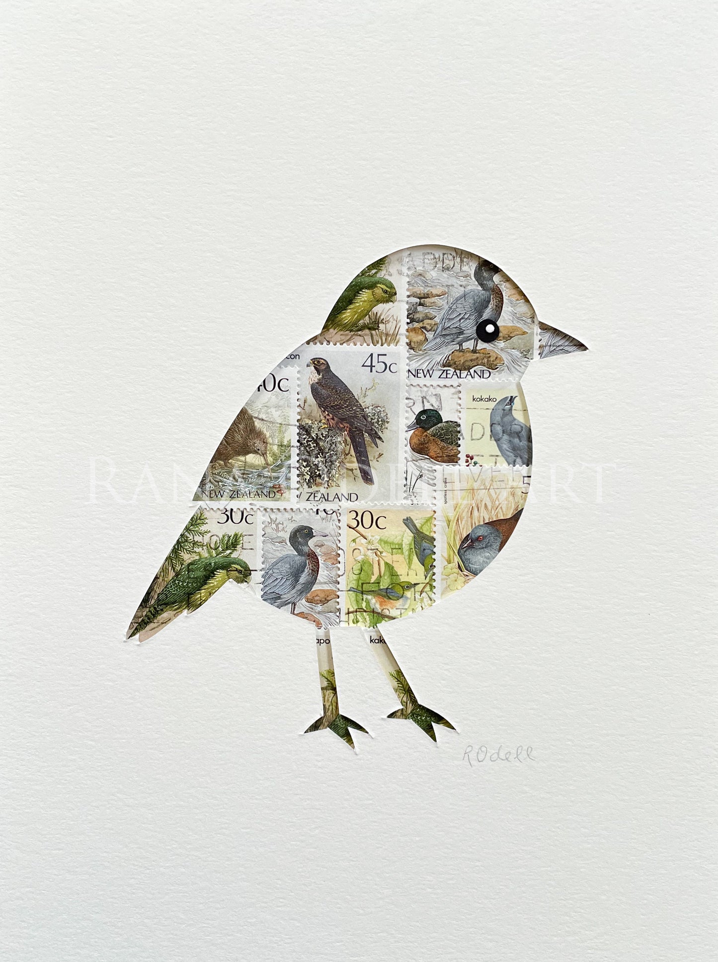 South Island Robin - bird stamps, 6x8 inches