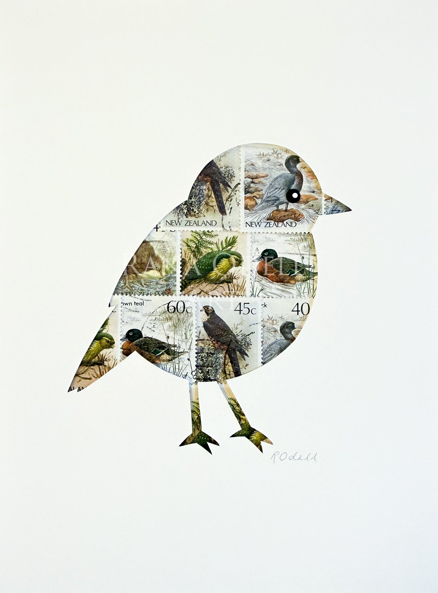 NZ Robin, 6x8 inches