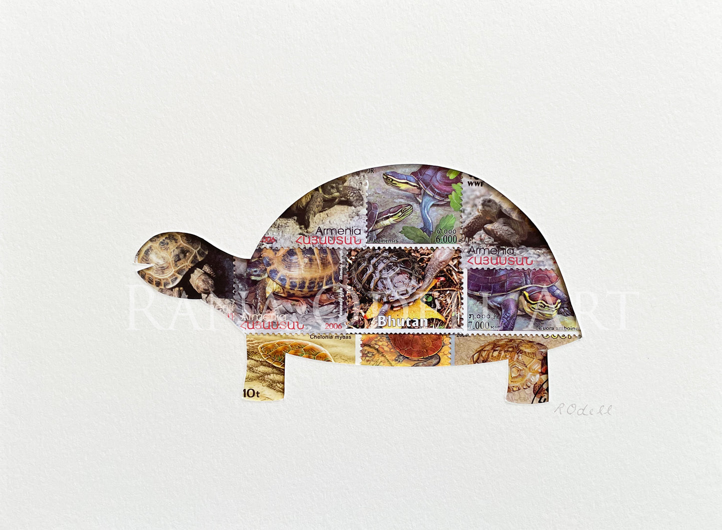 Turtle, 6x8 inches