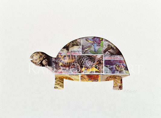 Turtle, 6x8 inches