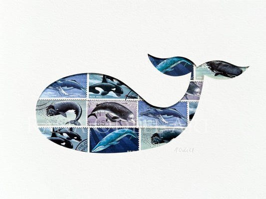 Whale, 6x8 inches