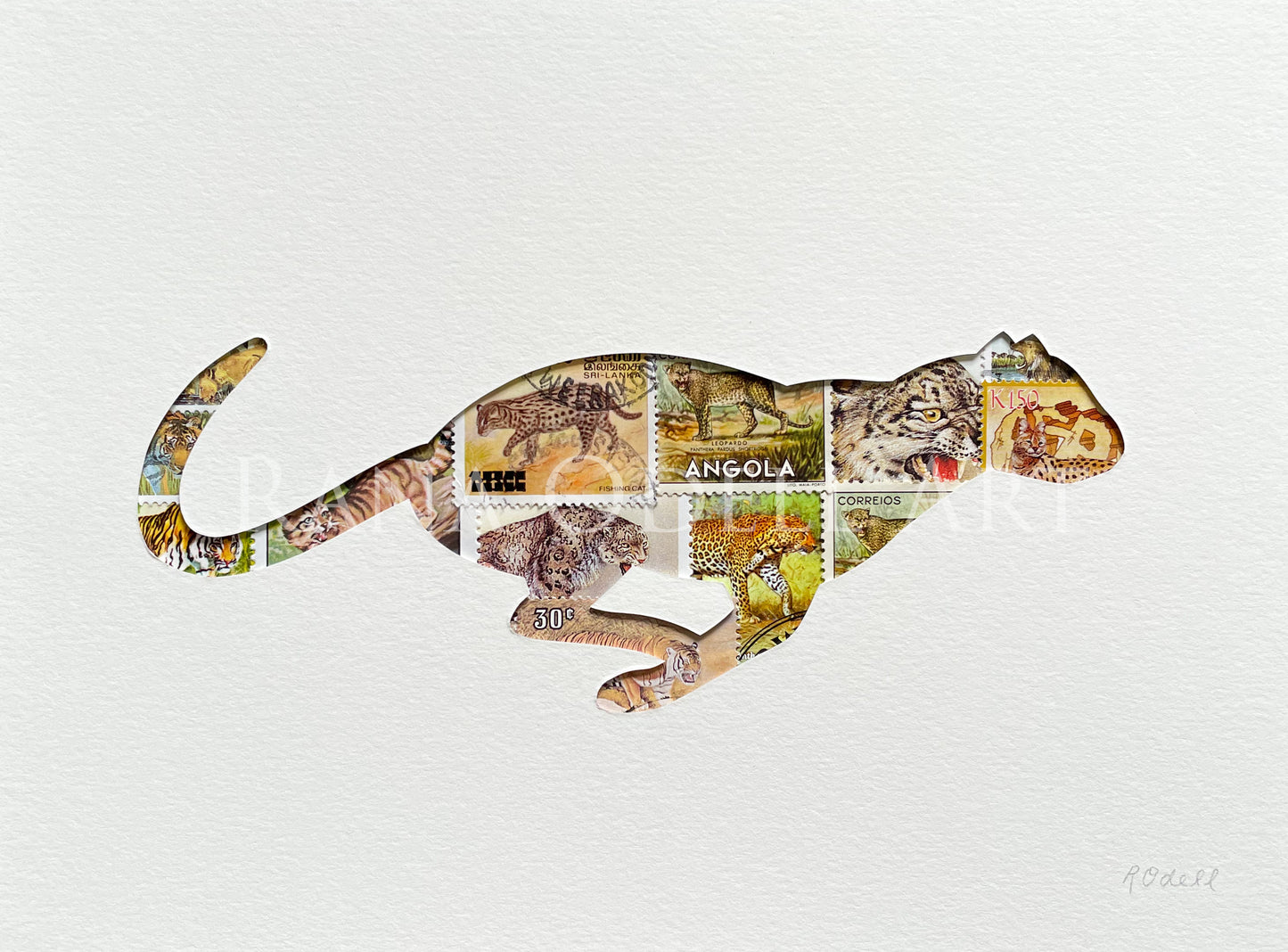 Wild Cat, 6x8 inches