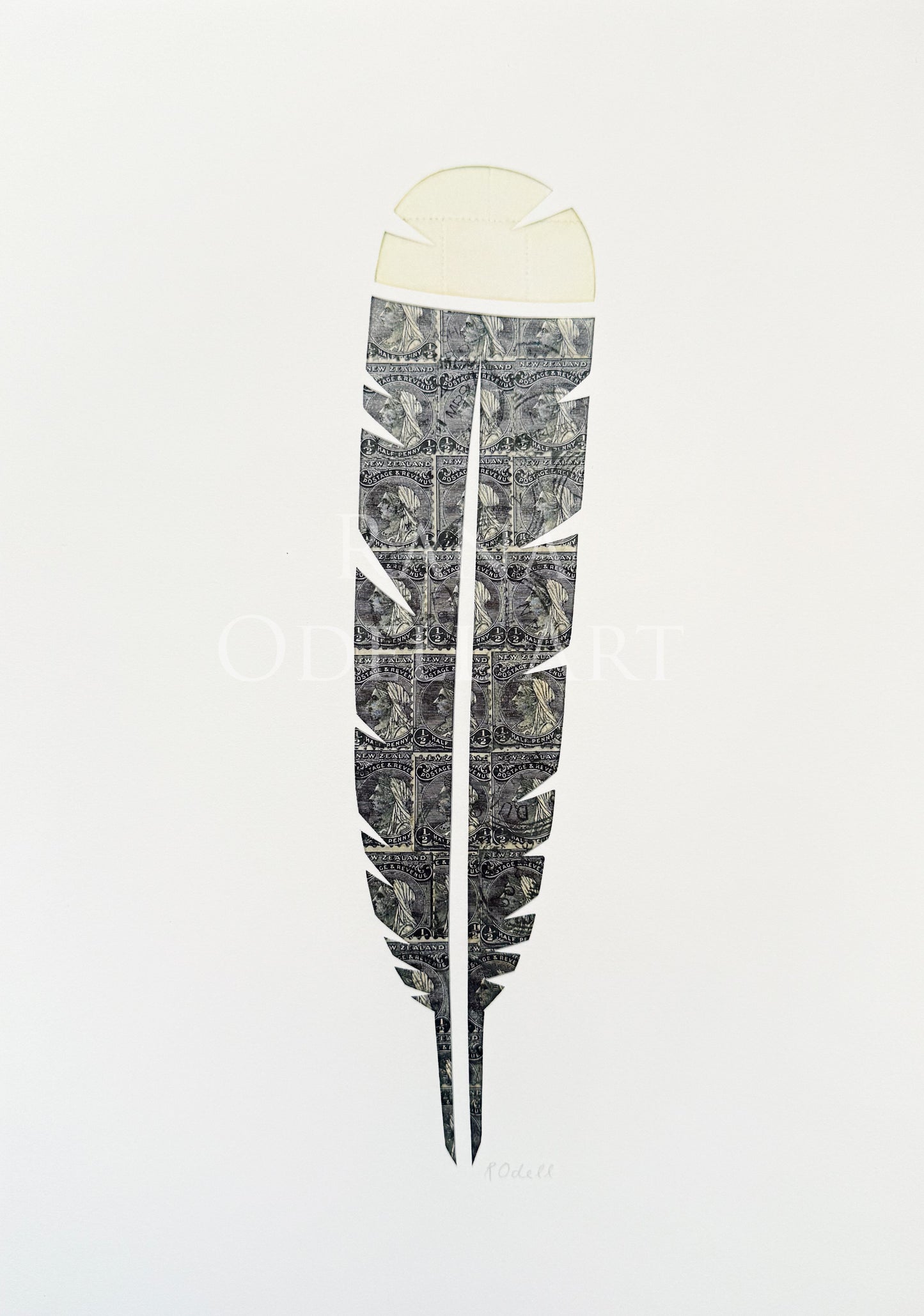 Huia Feather, A4 Print