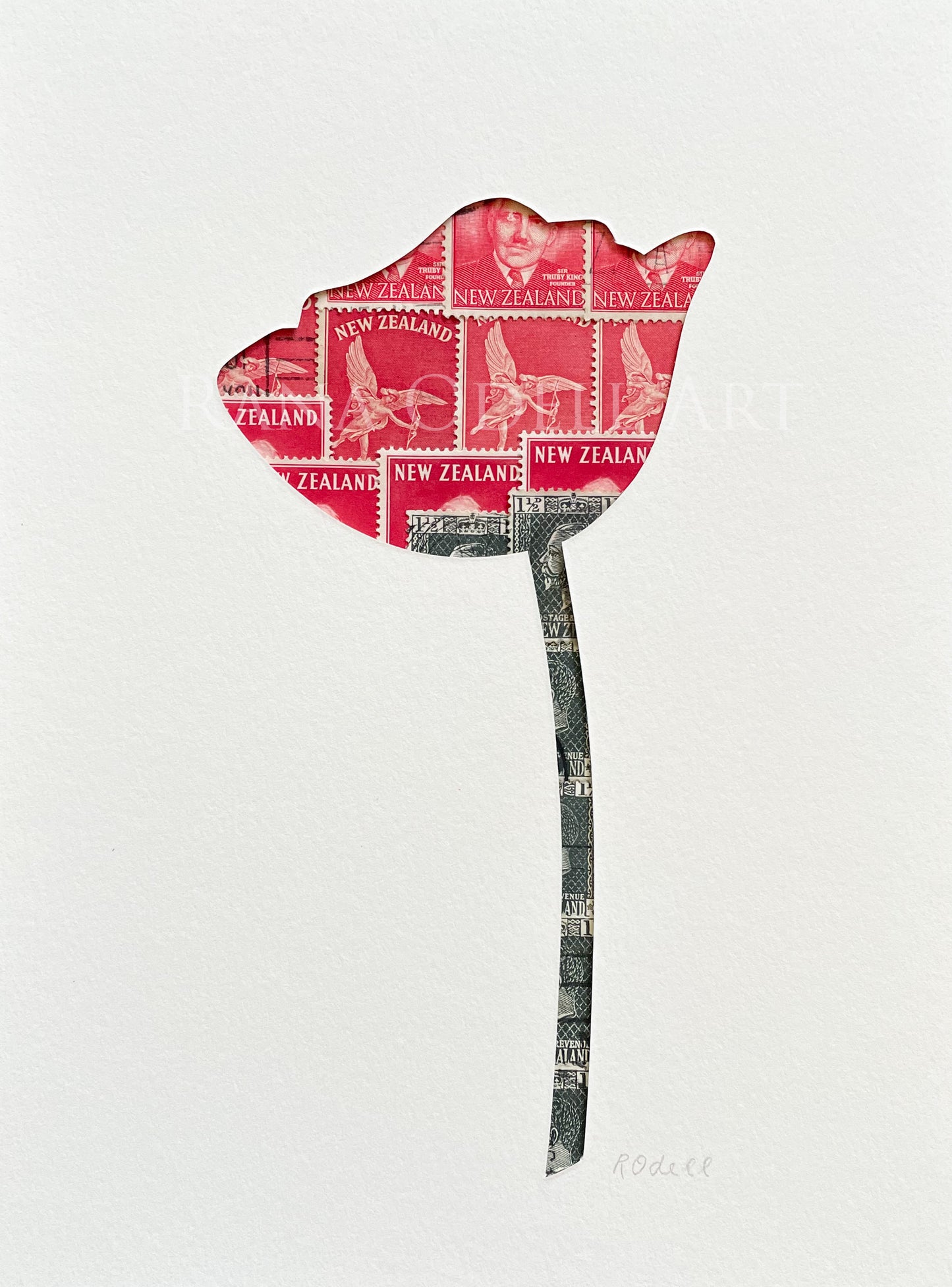Poppy, 6x8 inches
