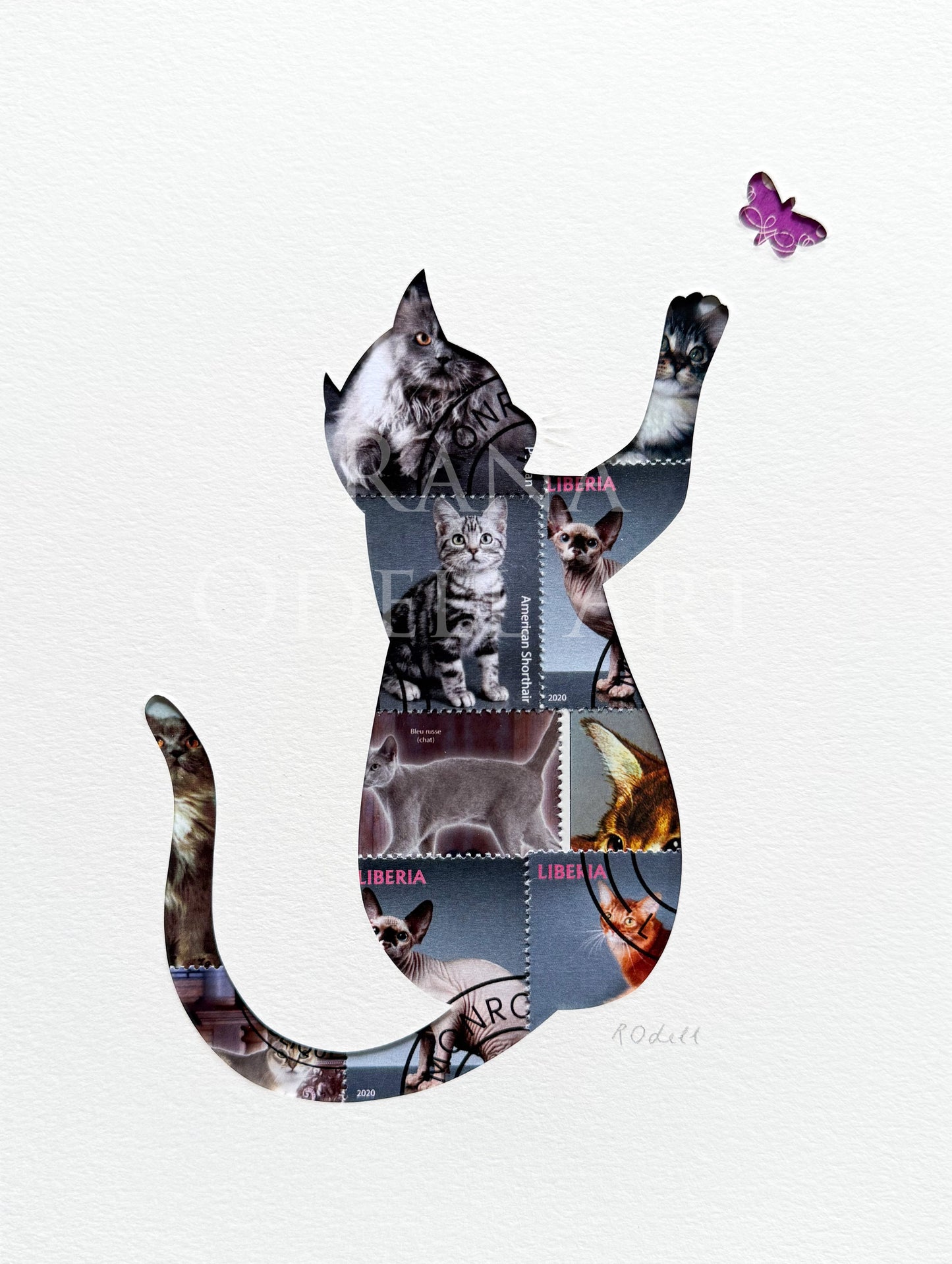 Cat - grey with butterfly, 6x8 inches