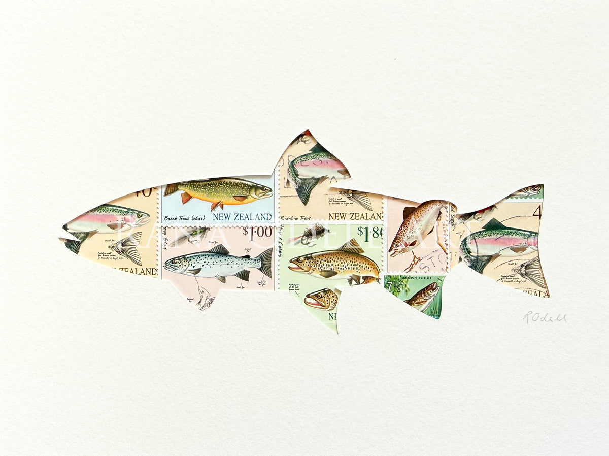 Trout, 6x8 inches