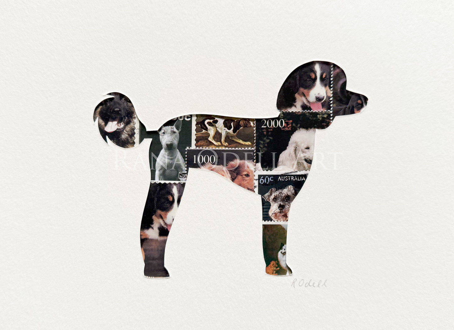 Poodle, 6x8 inches