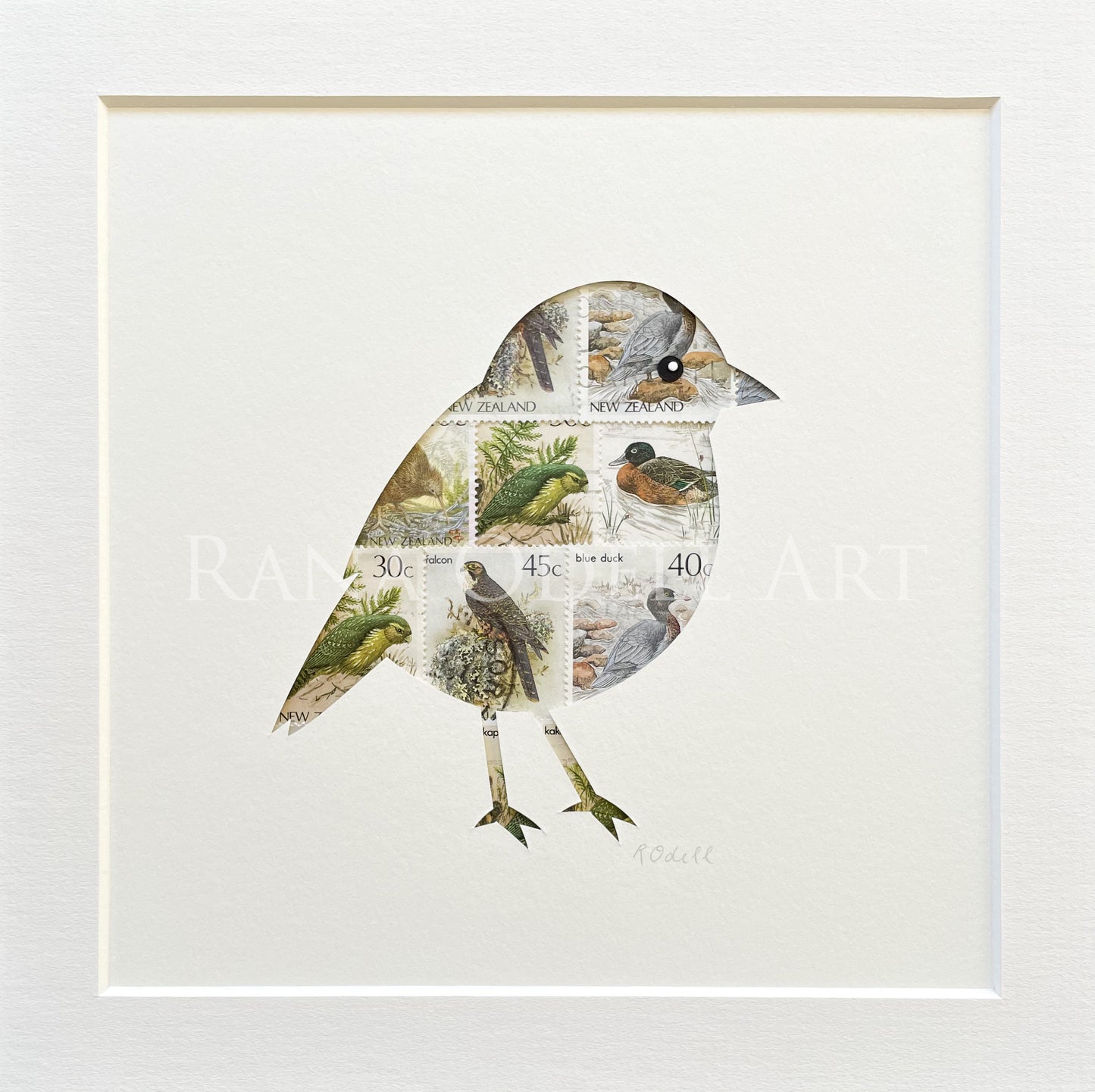 NZ Robin, 8x8 inches