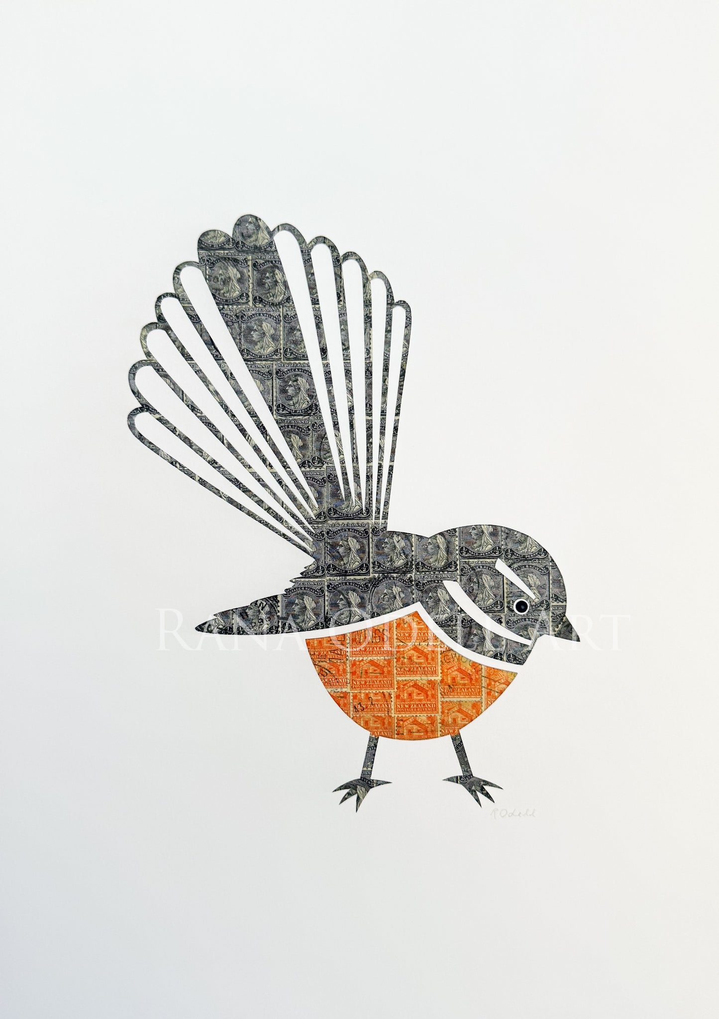 Fantail, A3 Print