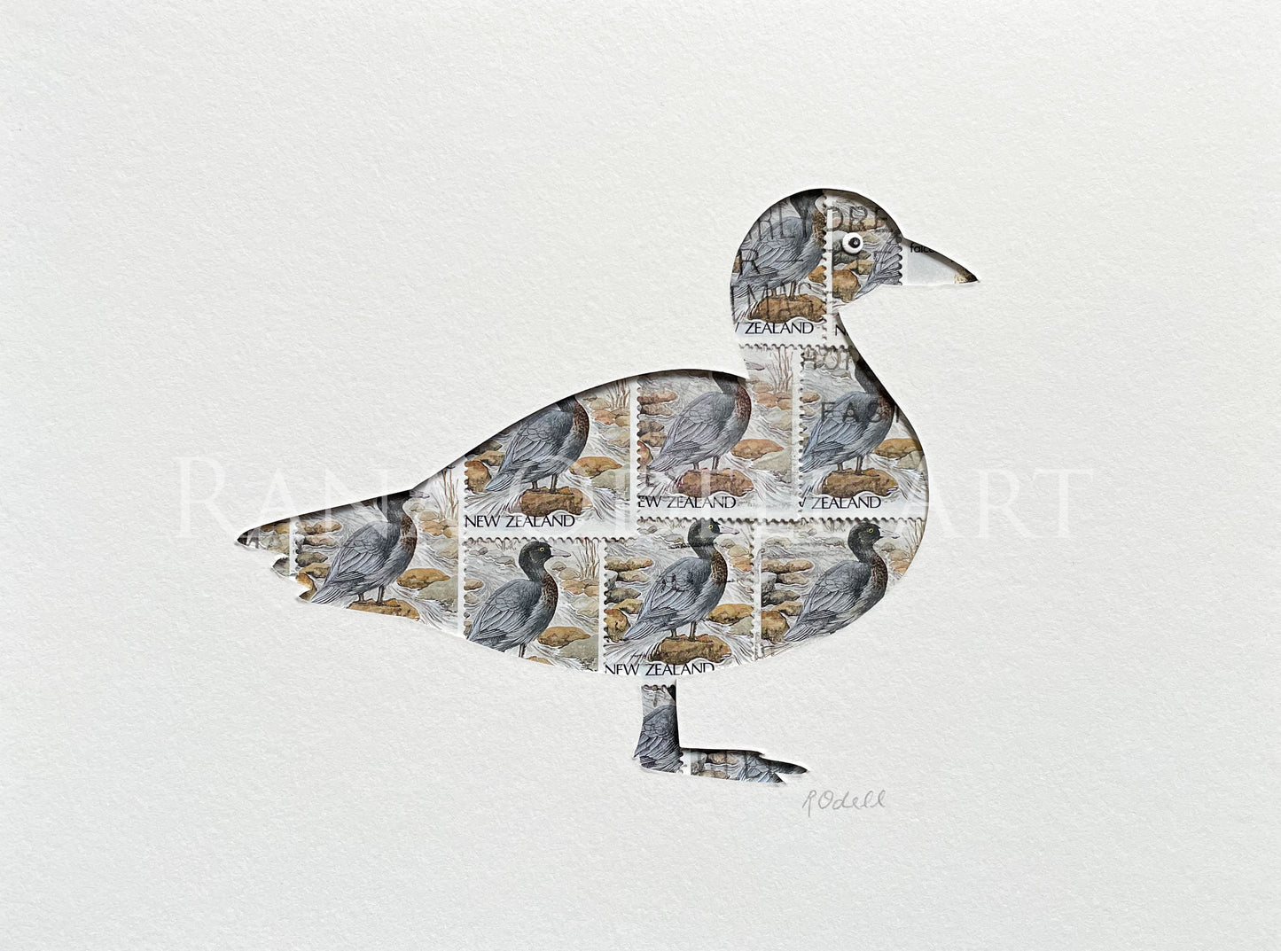 NZ Blue Duck, 6x8 inches