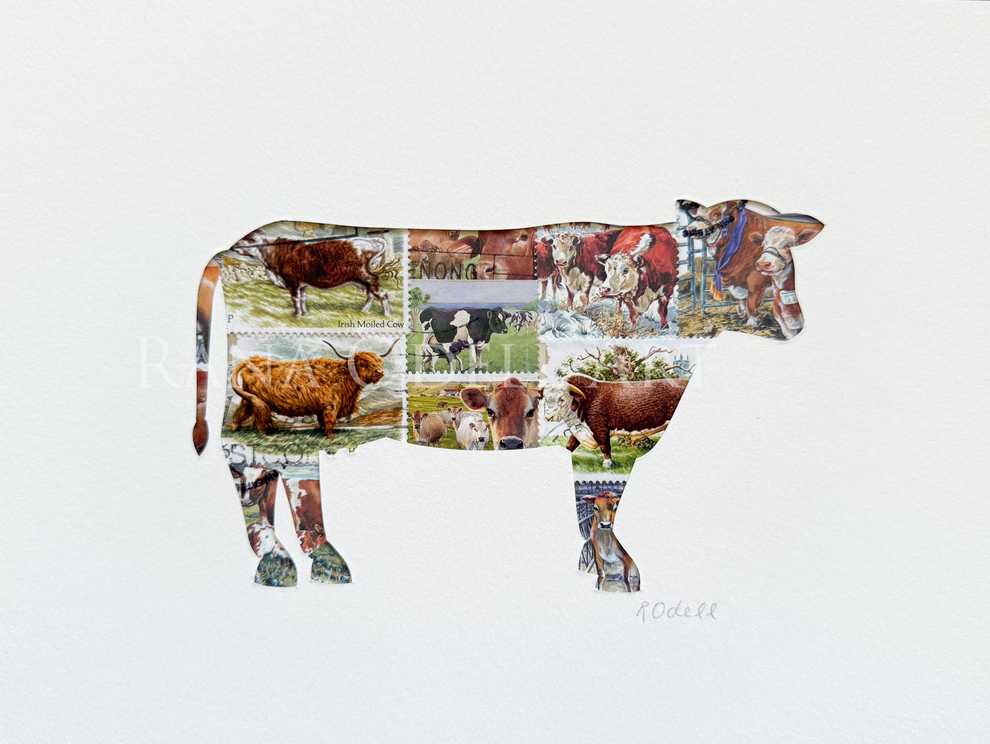 Cow, 6x8 inches