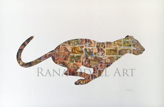 Wild Cat