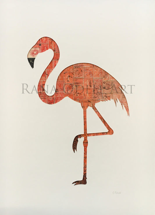 Flamingo