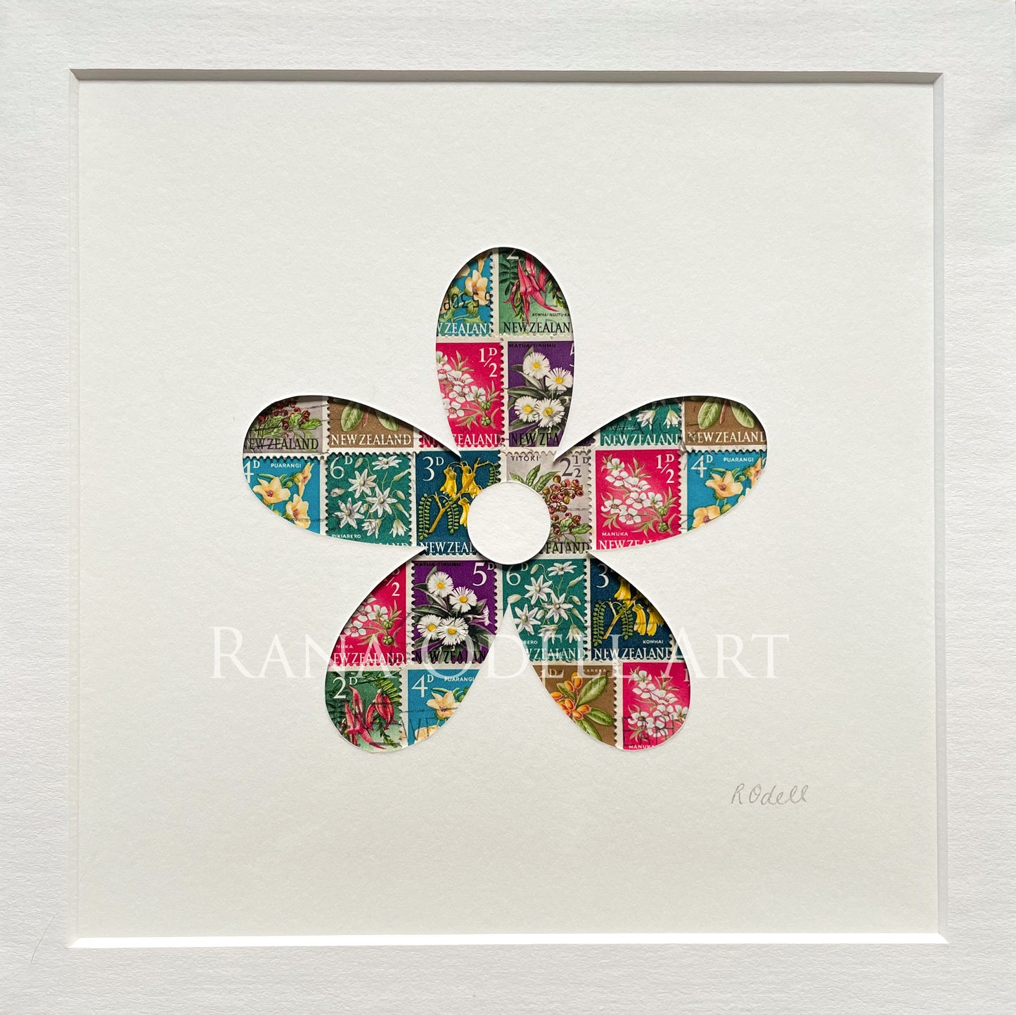 Daisy, 8x8 inches