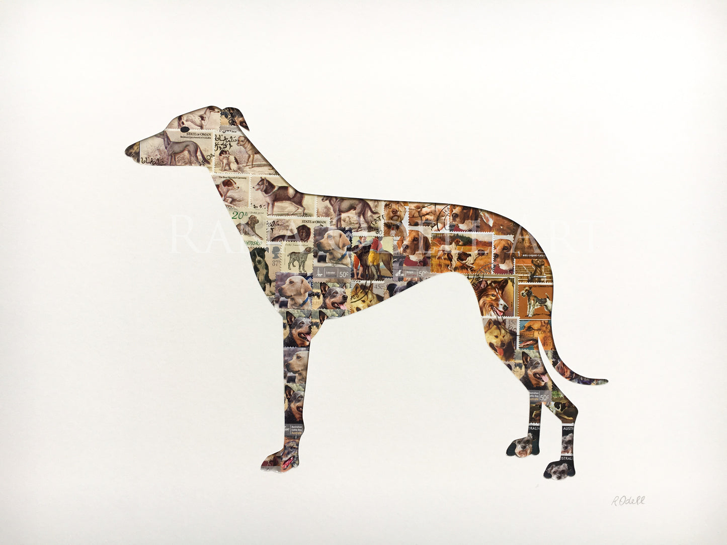Greyhound
