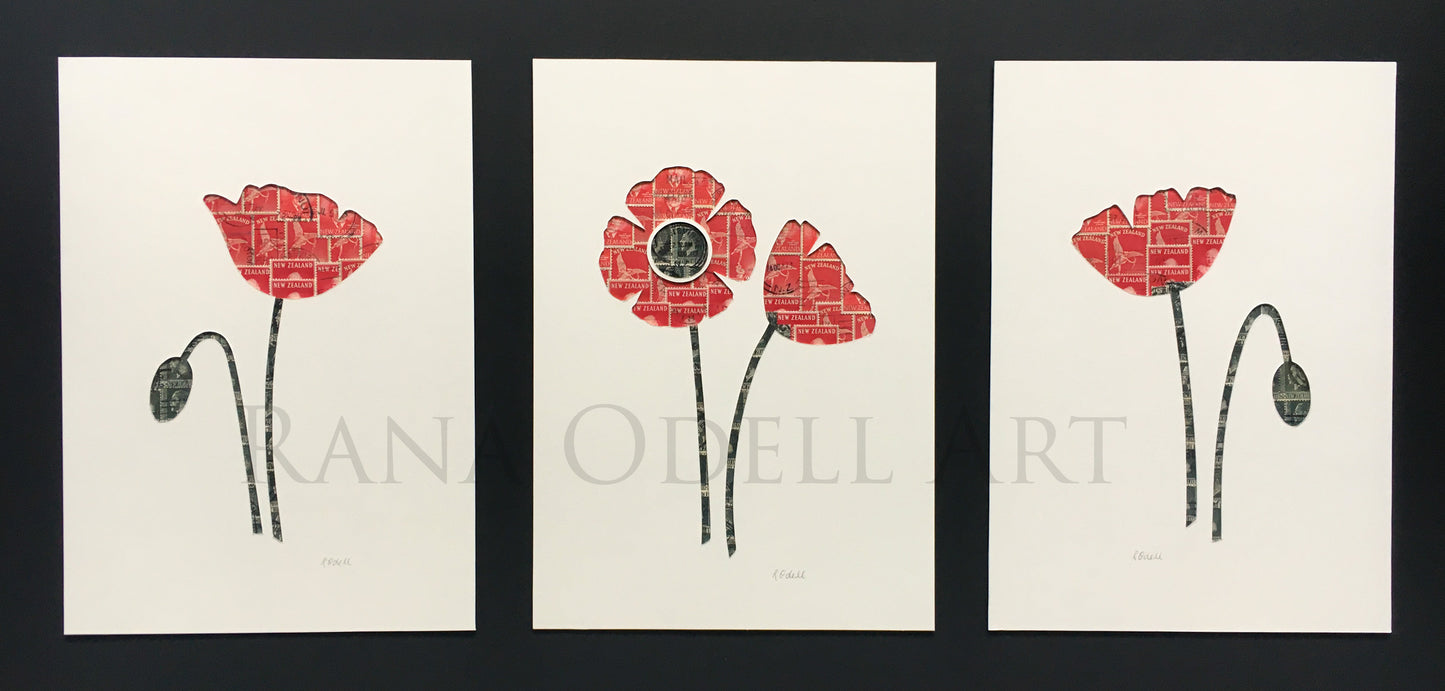 Poppies