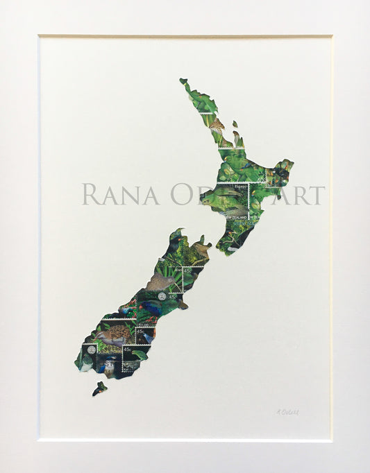NZ Map featuring native birds
