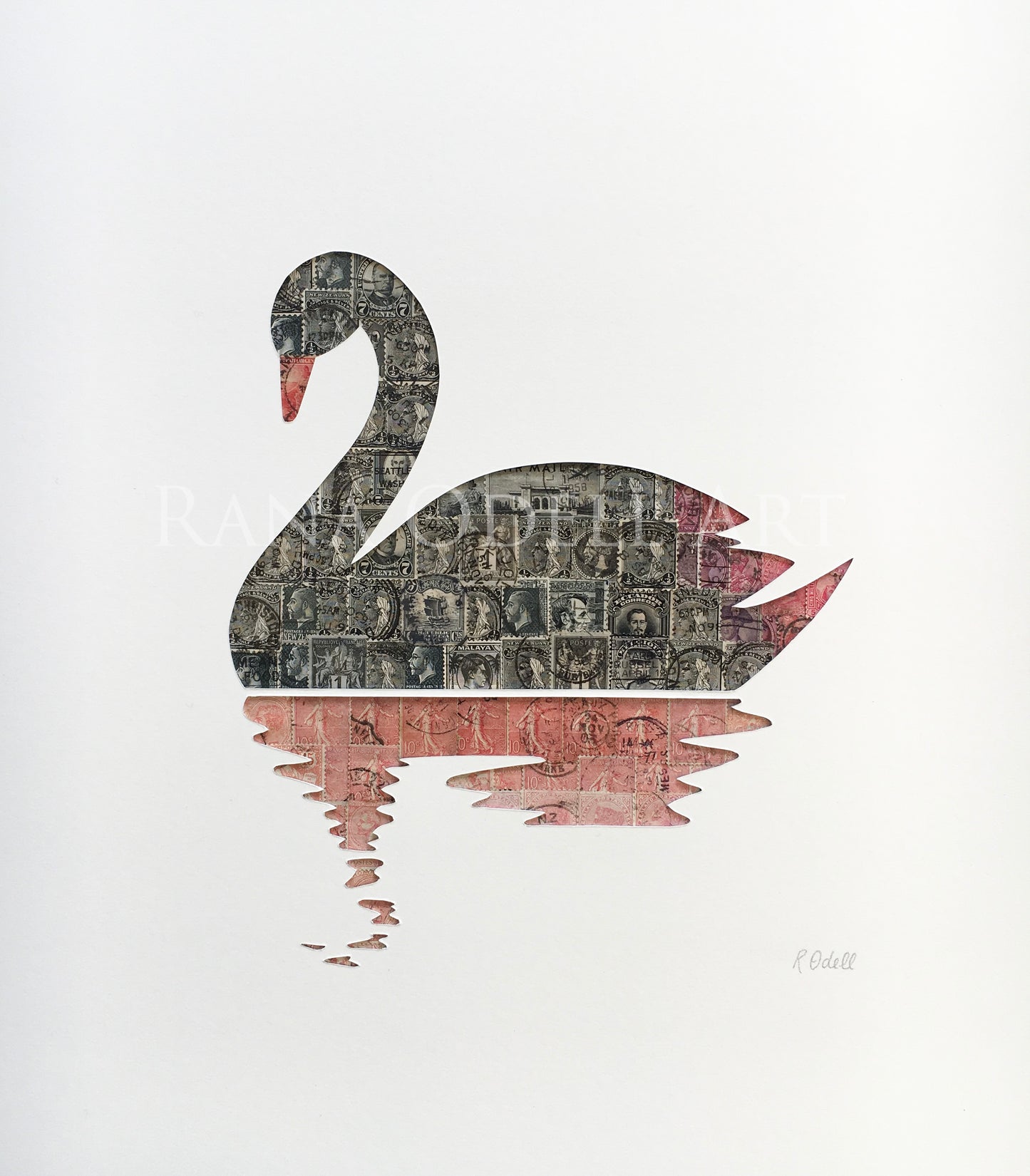 Black Swan, 40x40cm