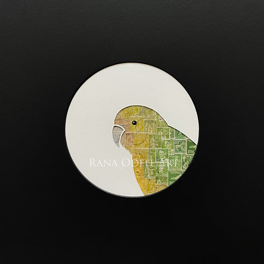 Kakapo