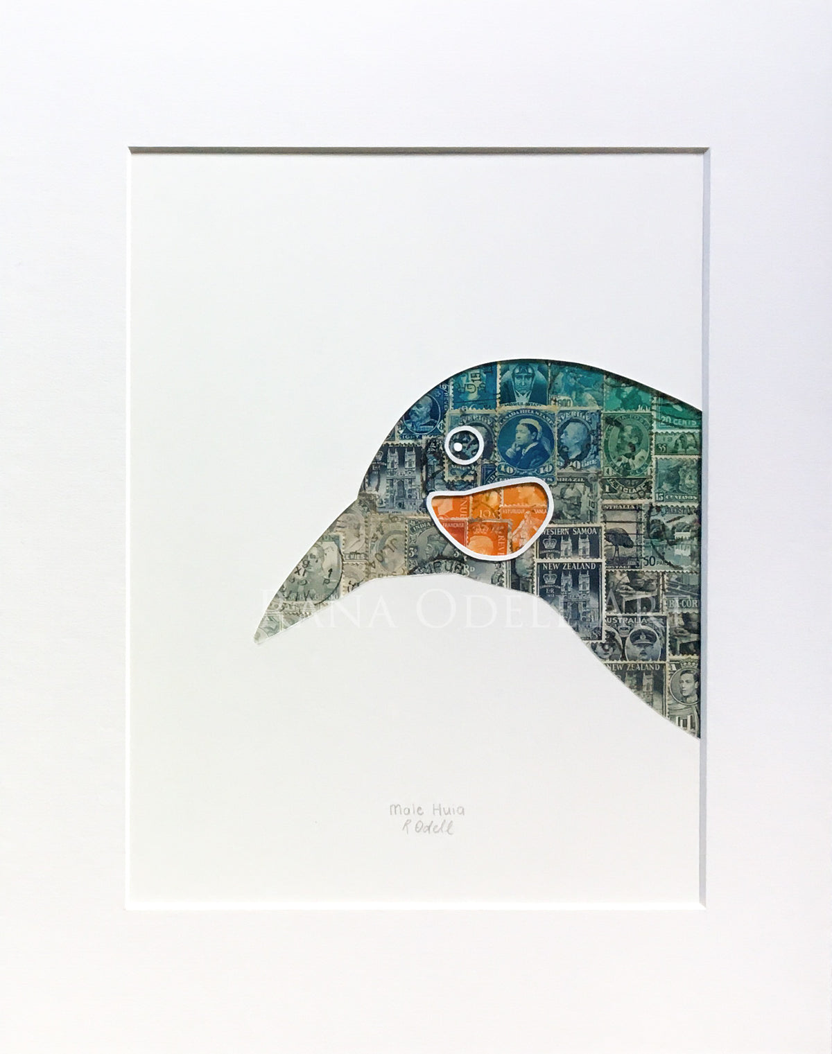 Huia - set of two, 11x14 inches each