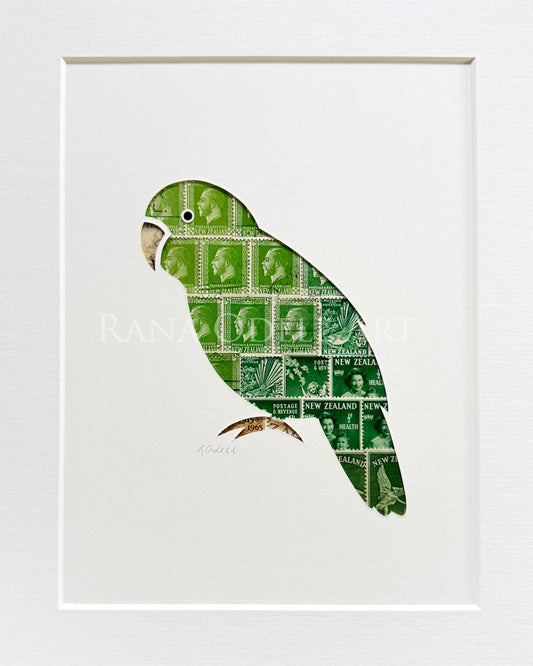 Kakapo, approx 8x10 inches (small with border)