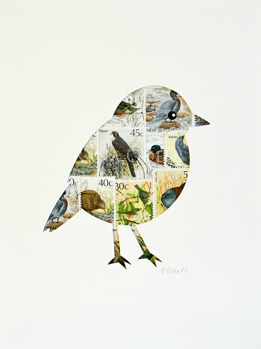 South Island Robin - bird stamps, 6x8 inches
