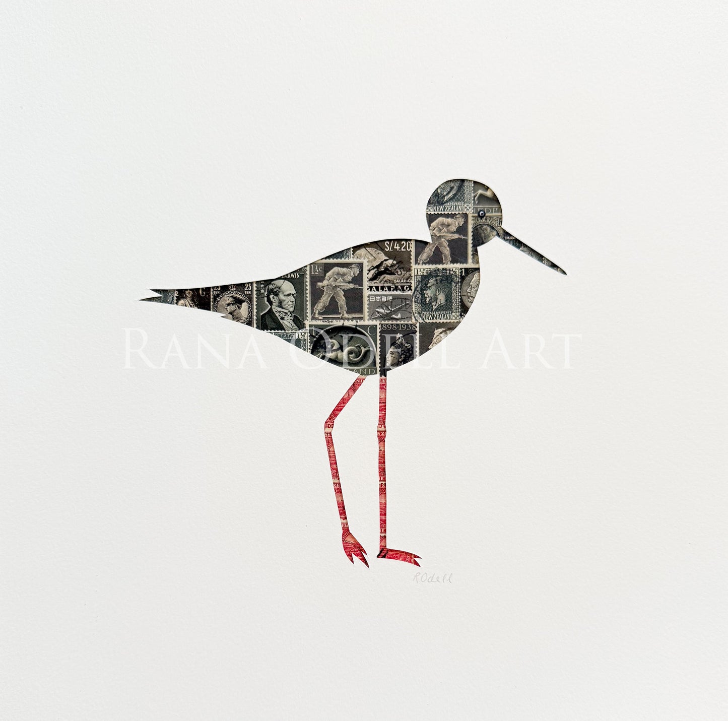 Black Stilt, 12x12 inches