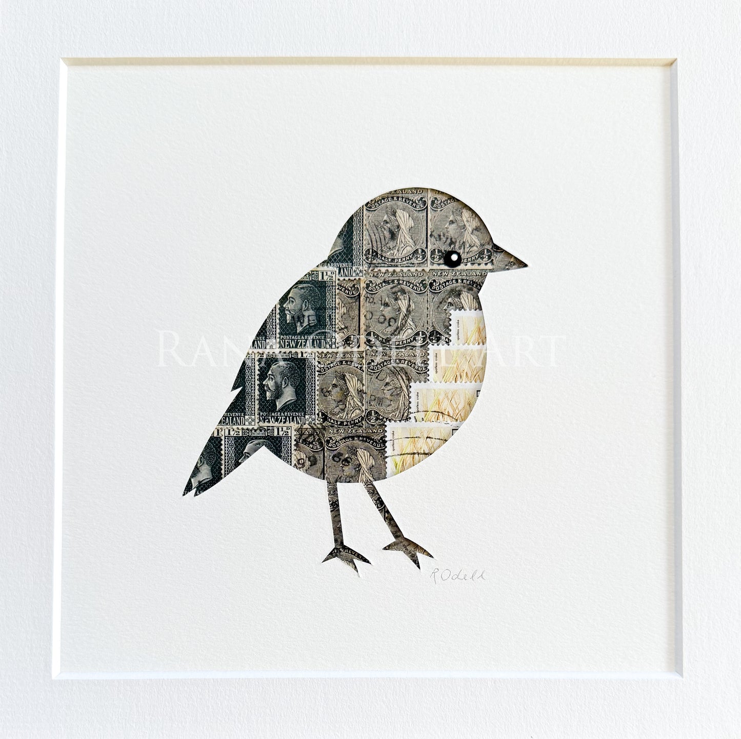 Kakaruwai (South Island Robin), 8x8 inches