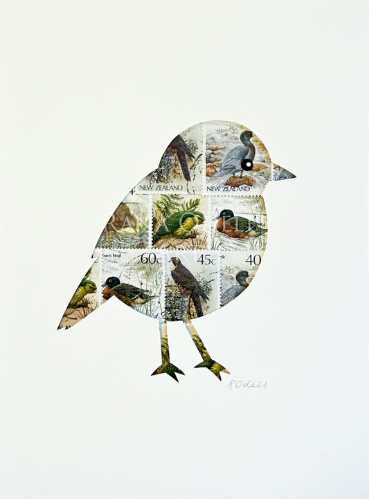 NZ Robin, 6x8 inches