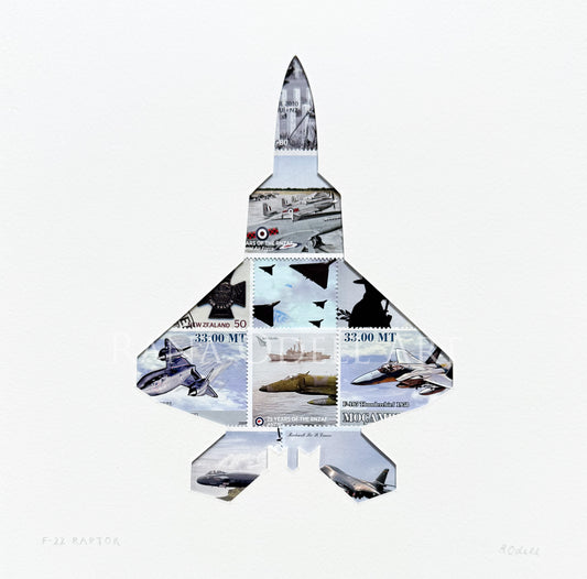 F-22 Raptor, 8x8 inches