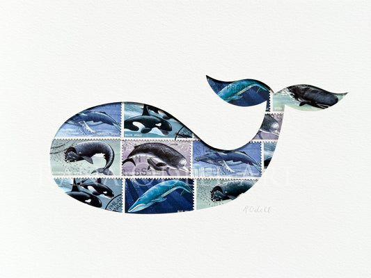 Whale, 6x8 inches