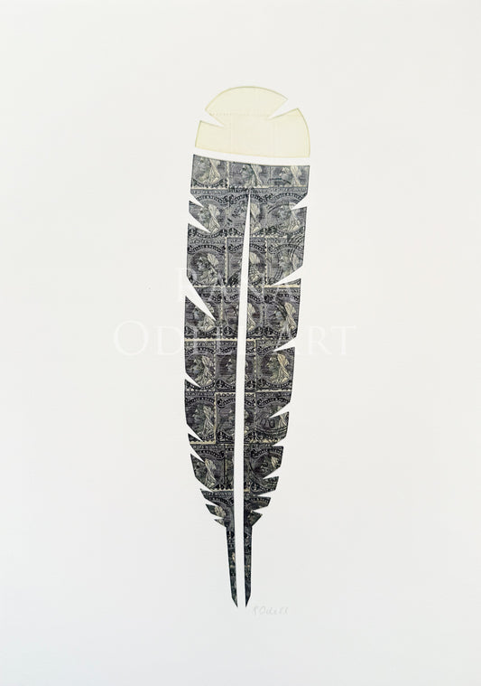 Huia Feather, A4 Print