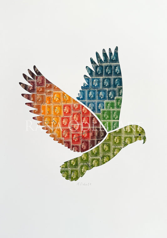 Kea, A4 Print