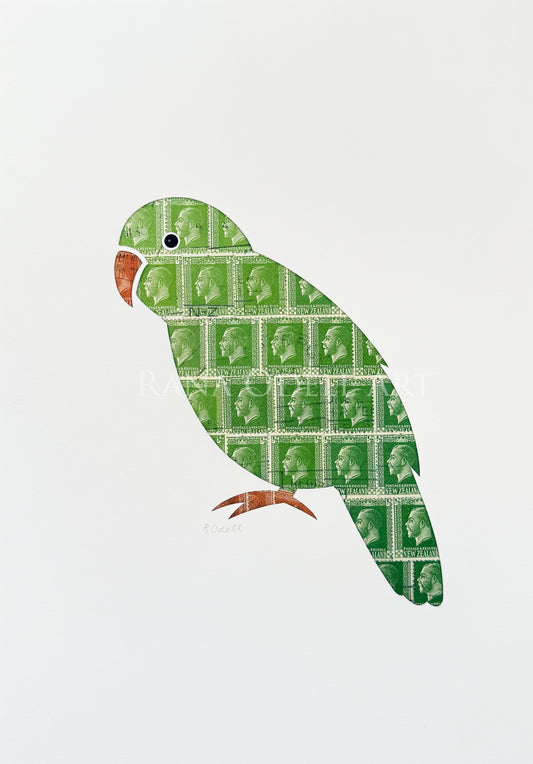 Kakapo, A4 Print