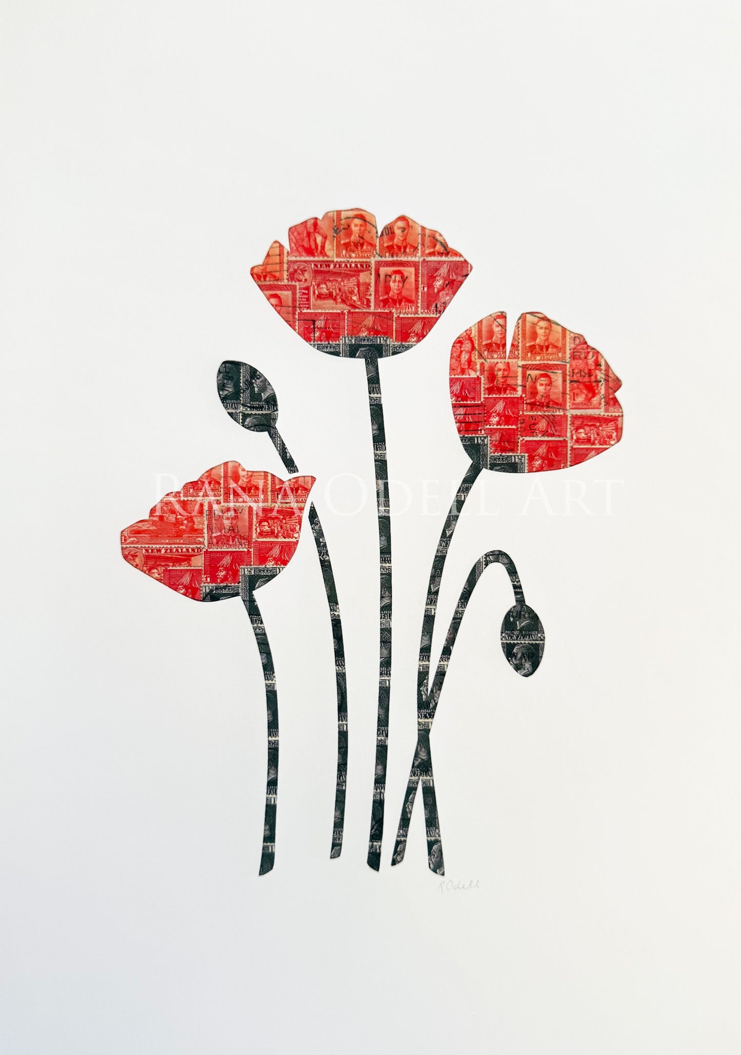 Poppies, A4 Print