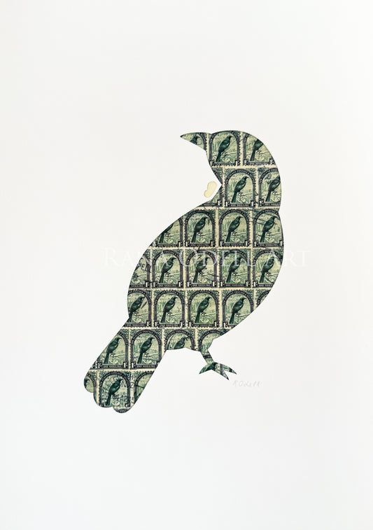 Tui, A4 Print