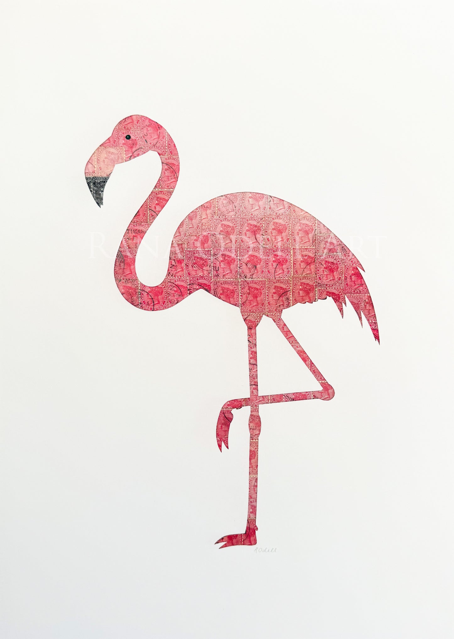 Flamingo, A3 Print