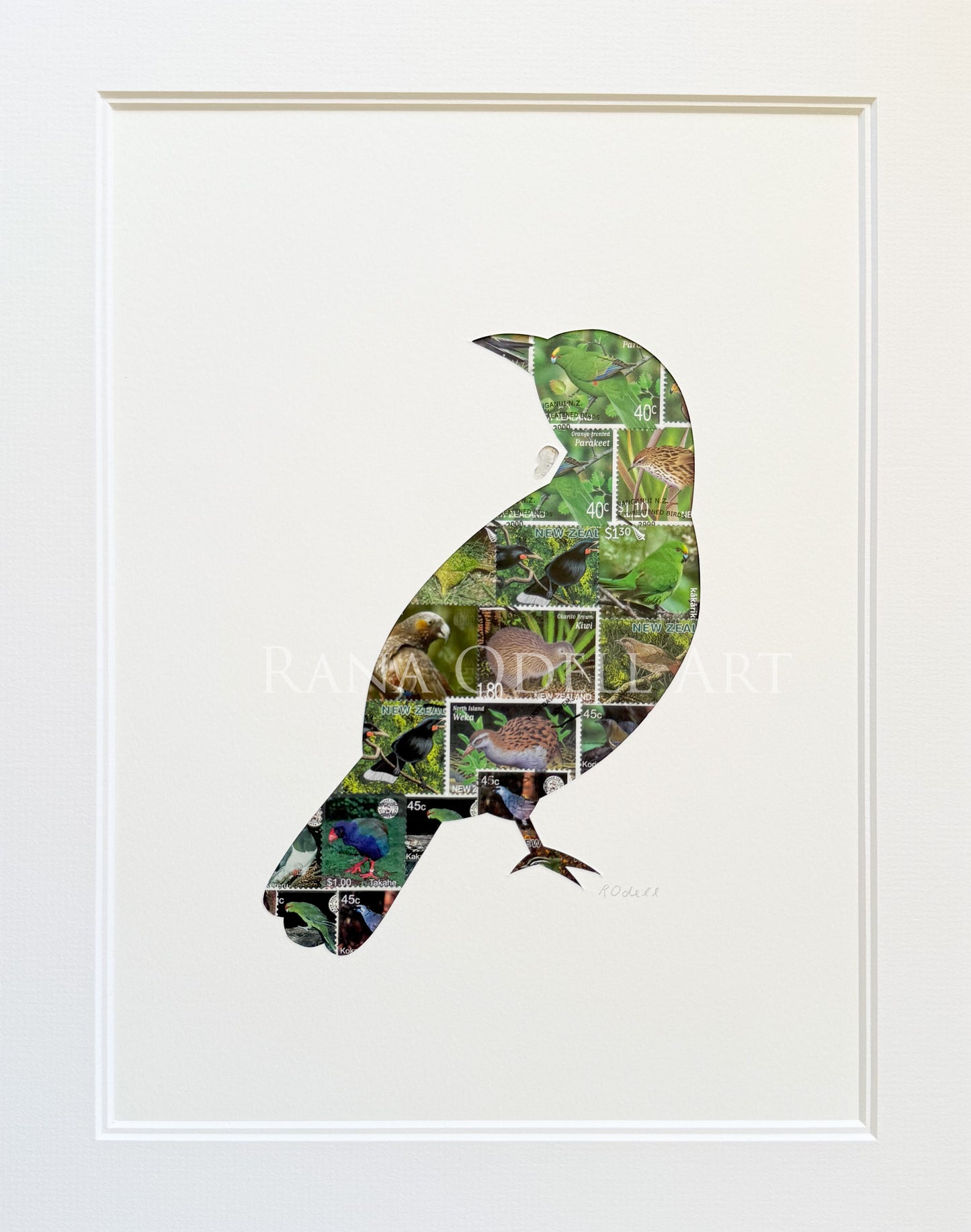 NZ Tui, 11x14 inches