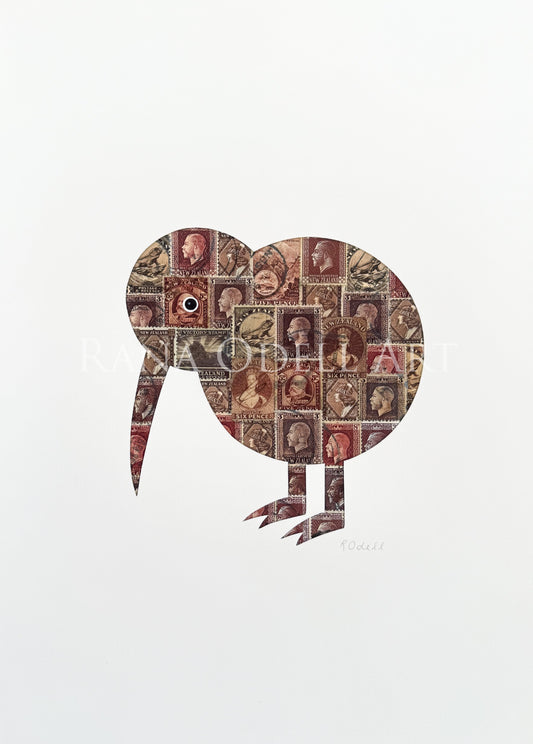 Brown Kiwi, A4 Print