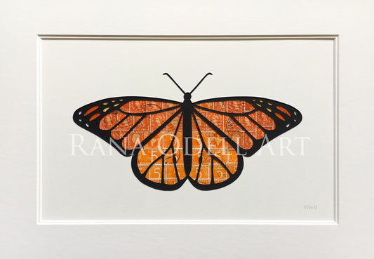 Monarch Butterfly